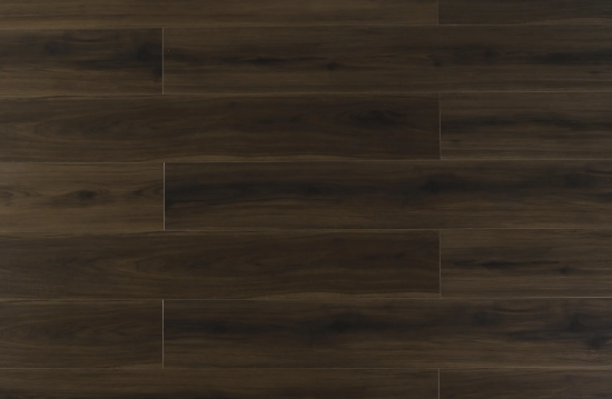 Clivia 7mm-CL1702-Sevenoaks