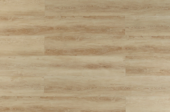 Clivia7mm-CL1704-Emberton