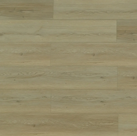 Clivia 7 mm-CL1701-Dartford