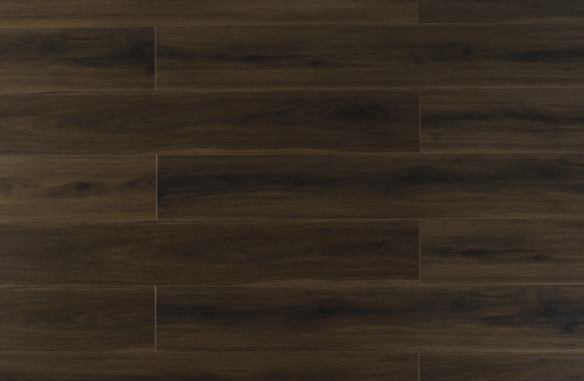 Clivia 7mm-CL1702-Sevenoaks