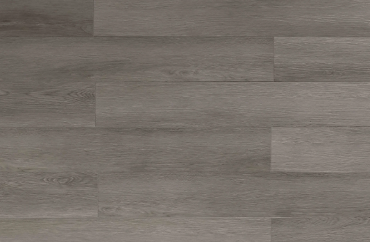 Clivia 7mm-CL1706-Beacon