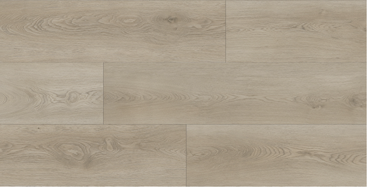 Clivia 7mm-CL1710-Morning Mist